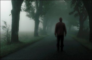 silhouette-of-man-walking-through-misty-trees